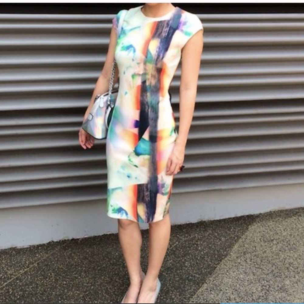 Zara Bodycon Dress Size Small.